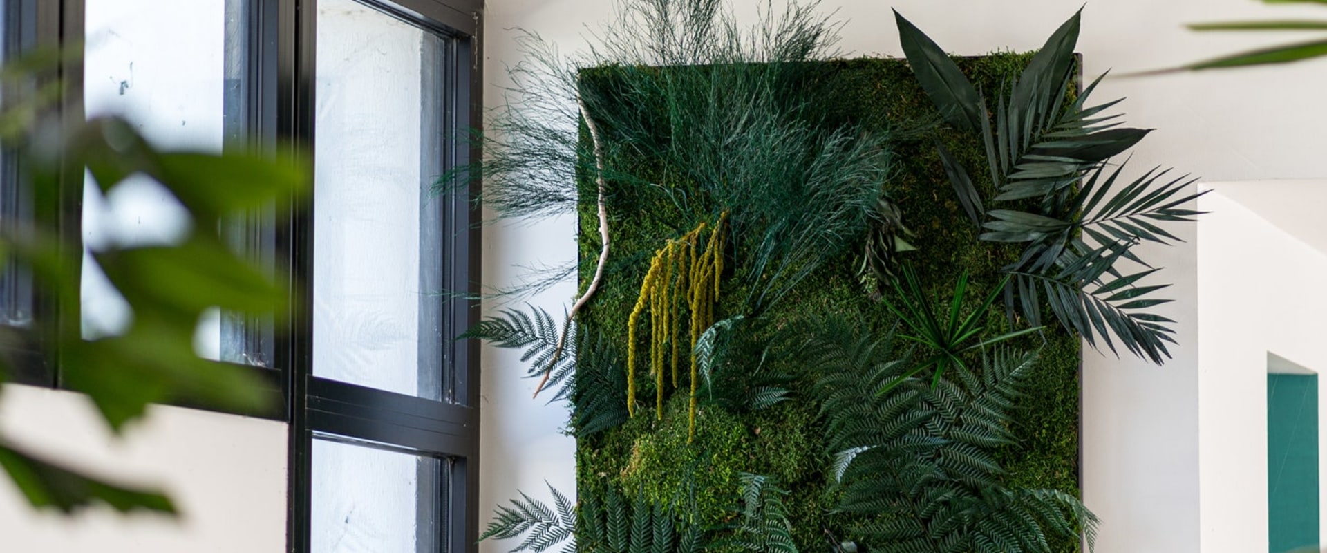 Ideas for Incorporating Moss Walls and Vertical Gardens into Homes