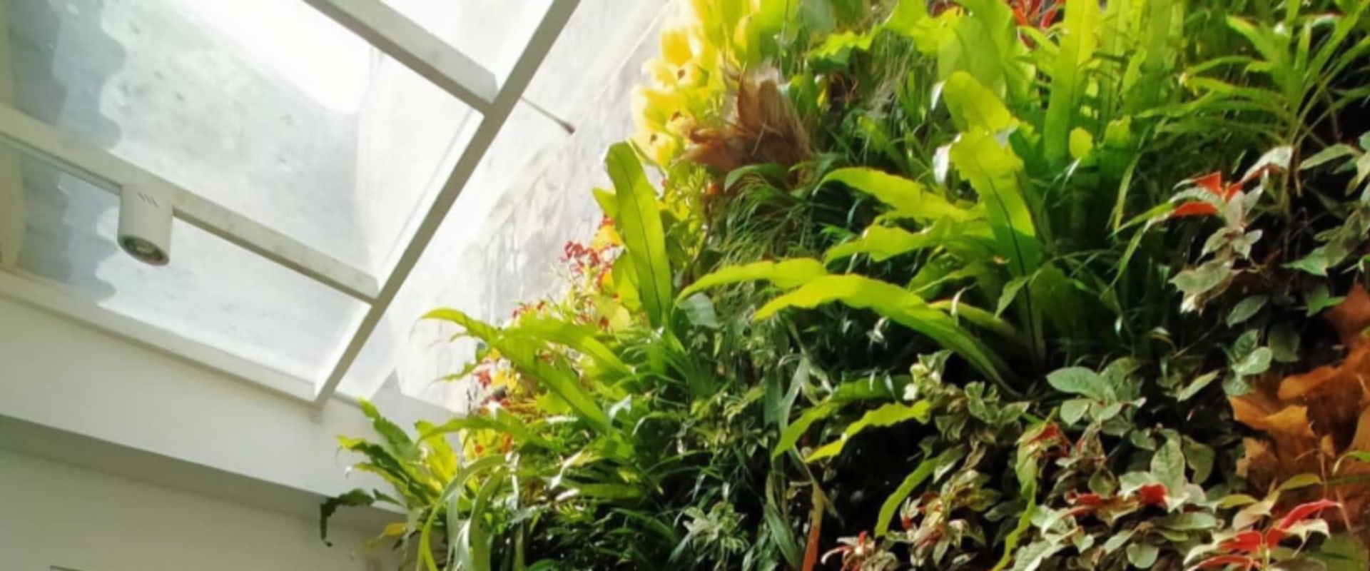 Incorporating Unique Vertical Garden Designs into Indoor Spaces