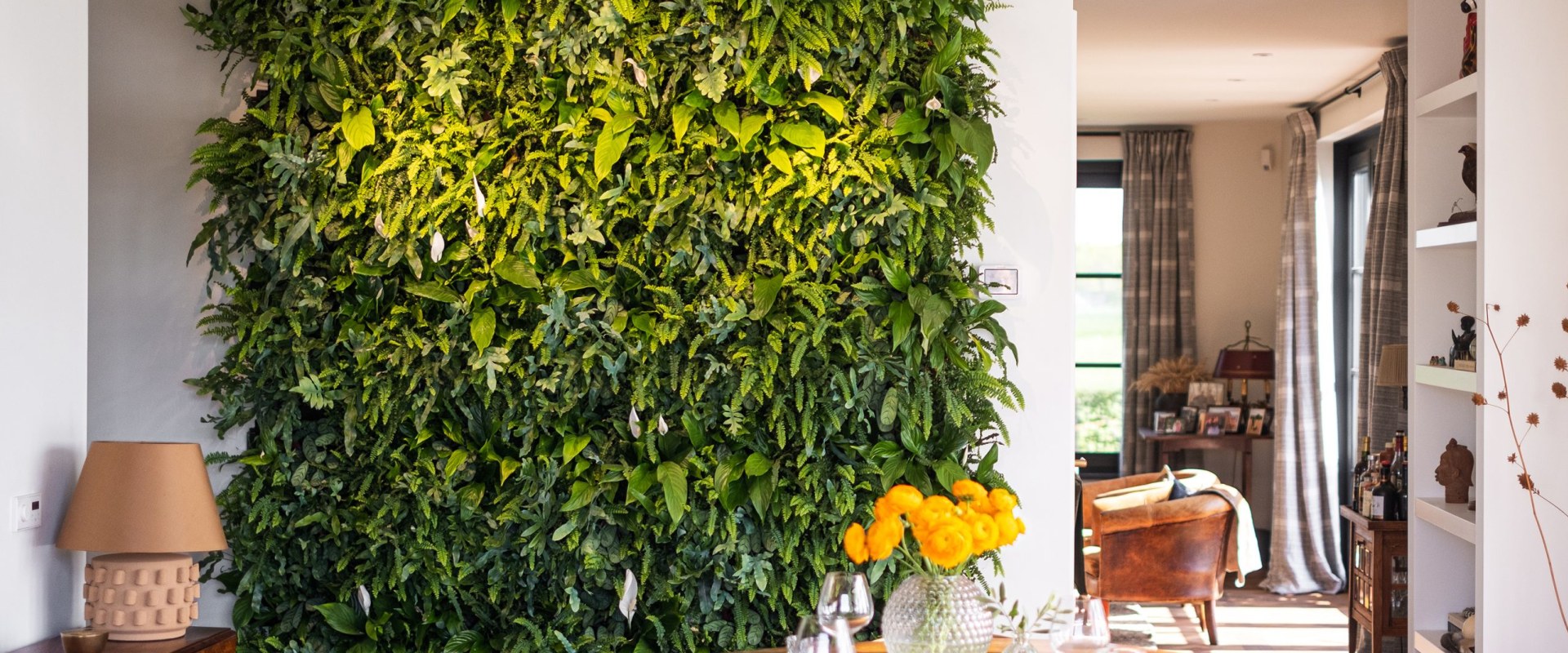 How to Create a Stunning Living Wall for Your Indoor Space