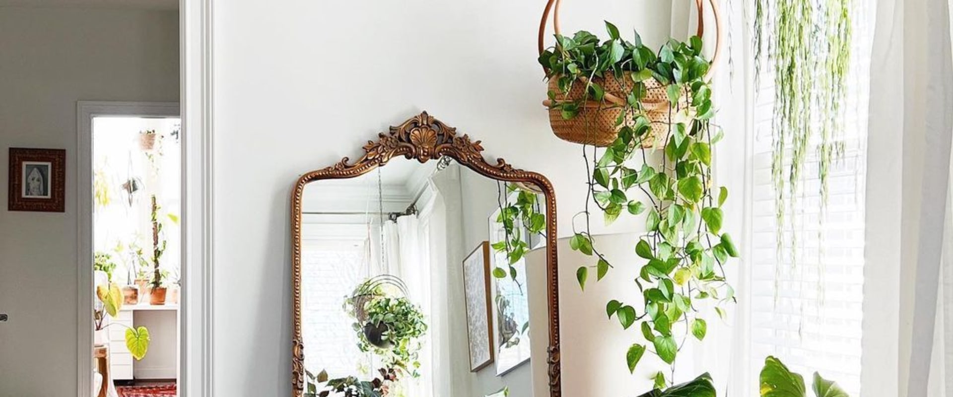 Using Plants to Decorate Bedrooms and Living Rooms