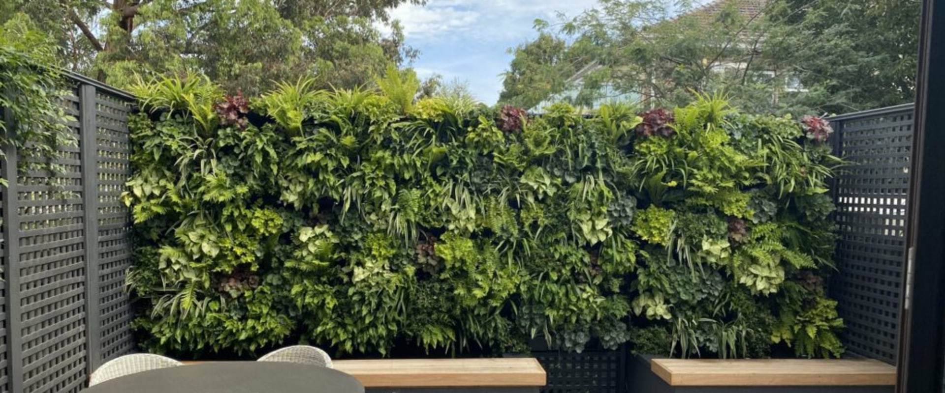 Transforming Balconies and Patios with Green Walls