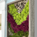 DIY Moss Wall Ideas for Adding Greenery to Your Indoor Space