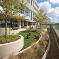 Incorporating Plants into Healthcare Facilities: Creating a Healing Environment