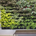 Best Practices for Keeping Your Moss Wall and Vertical Garden Healthy