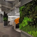 Reducing Stress and Anxiety with Greenery: A Guide to Incorporating Moss Walls and Vertical Gardens Indoors