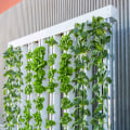 How to Install a Vertical Garden Indoors: A Step-by-Step Guide