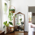 Using Plants to Decorate Bedrooms and Living Rooms