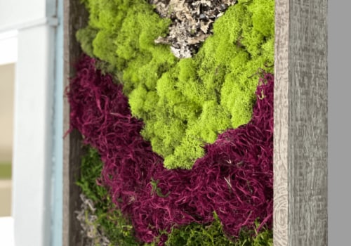 DIY Moss Wall Ideas for Adding Greenery to Your Indoor Space