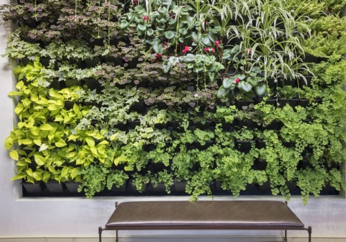 Best Practices for Keeping Your Moss Wall and Vertical Garden Healthy