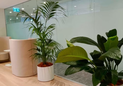 Boosting productivity and creativity with indoor plants