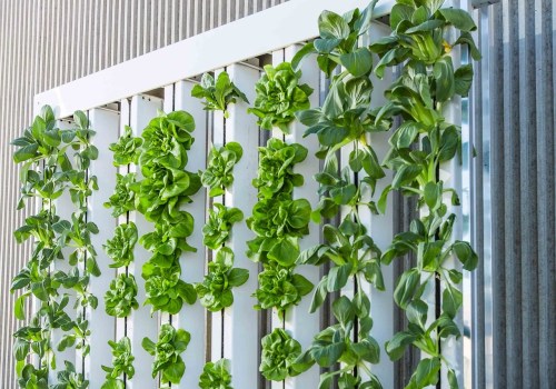 How to Install a Vertical Garden Indoors: A Step-by-Step Guide