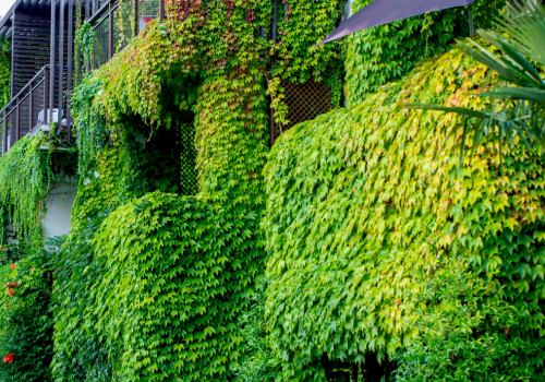 Improving Air Quality with Plants: A Guide to Moss Walls and Vertical Gardens